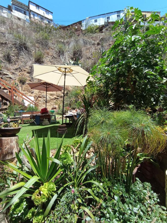 Selva Hospedaje 瓦尔帕莱索 外观 照片