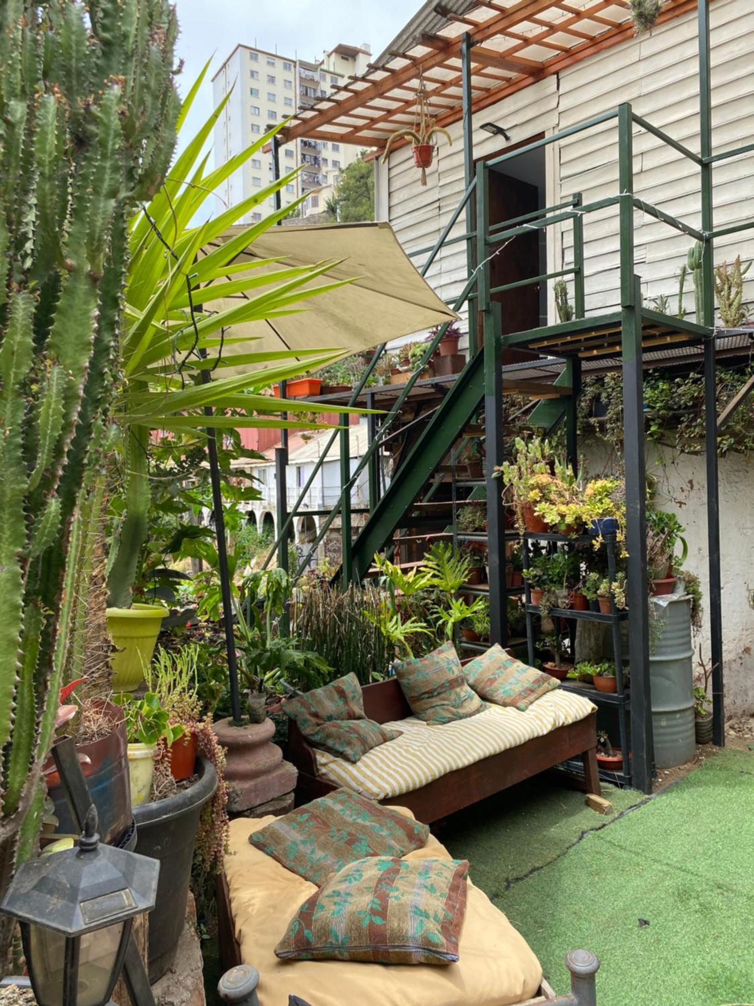 Selva Hospedaje 瓦尔帕莱索 外观 照片